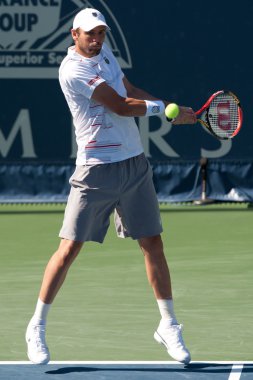 Erdal balık oyun sırasında eylem