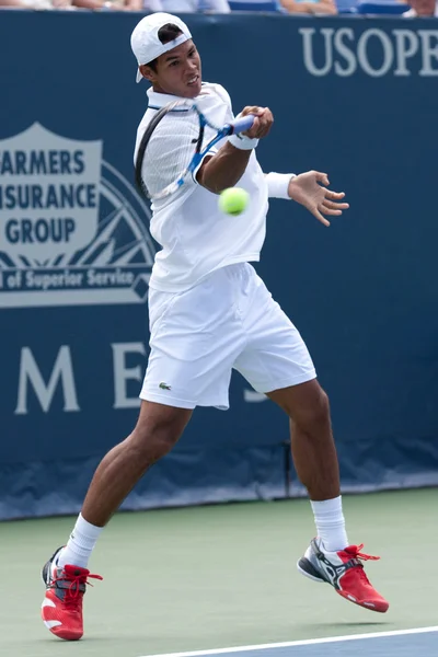 Somdev kishore devvarman in actie tijdens het spel — Stockfoto