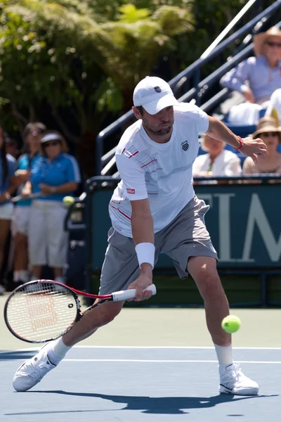 Mardy Fish in azione durante il gioco — Foto Stock