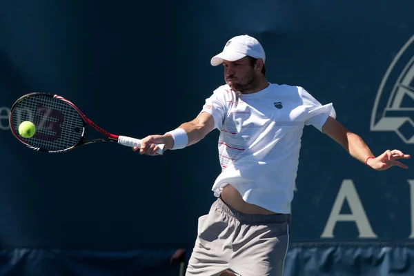 Mardy Fish in action during the game — Stockfoto