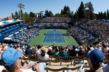 Oyunun genel görünüm