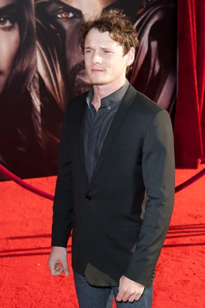 Anton Yelchin arrives at the Los Angeles premiere — Stock Photo, Image