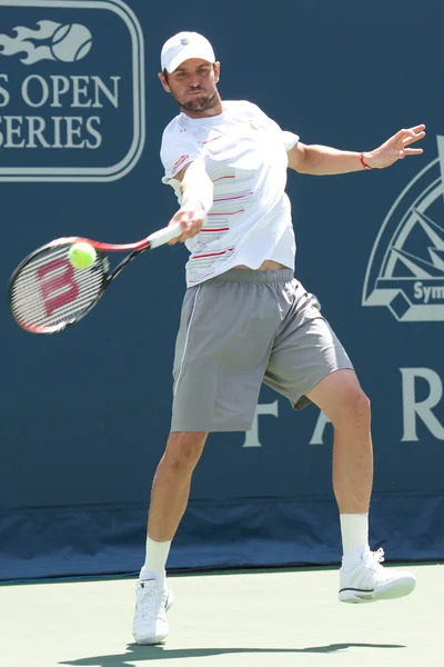 Mardy Fish durante el juego —  Fotos de Stock