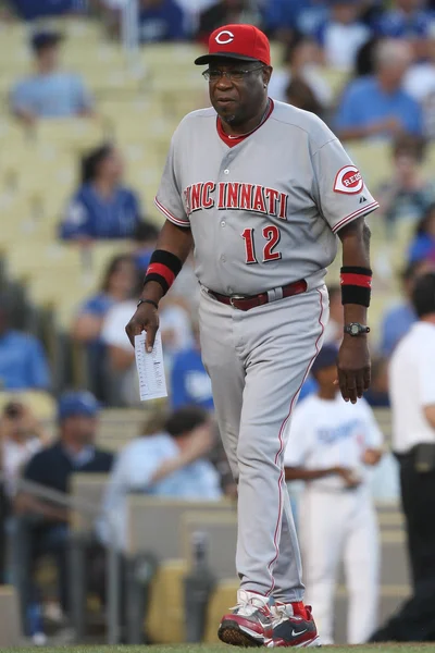 DUSTY BAKER walks back to the dugout before the start of the game — Stock Photo, Image