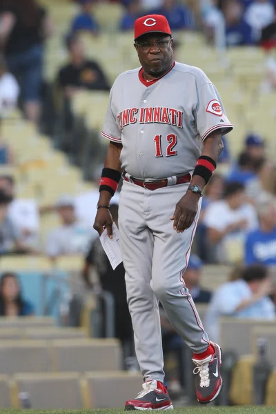 DUSTY BAKER se întoarce la dugout înainte de începerea jocului — Fotografie, imagine de stoc