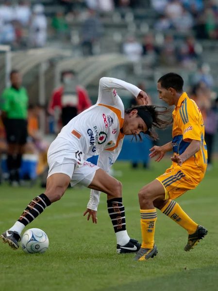 Эдгар Кастильо и Херардо Флорес в действии во время матча Интерлиги 2010 — стоковое фото