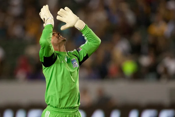 Jon Busch celebra un gol de su parte durante el partido de la Major League Soccer —  Fotos de Stock