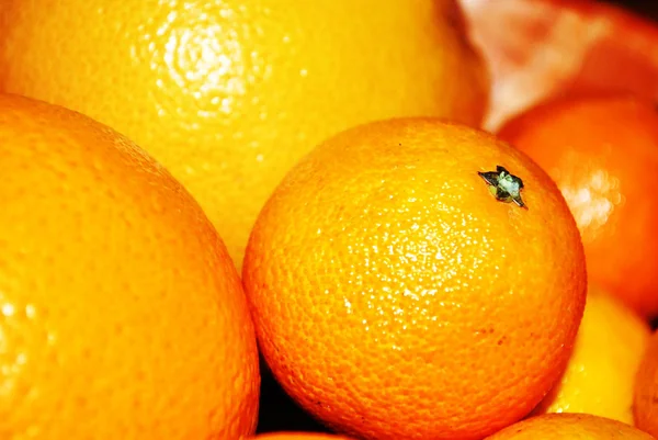 Mandarin