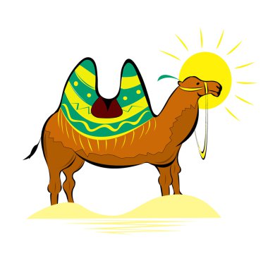 Asya camal. izole vektör