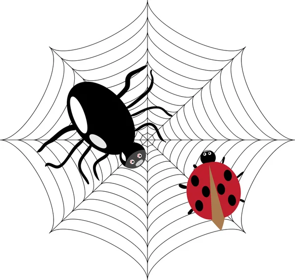 Spider jakt på nyckelpiga — Stock vektor