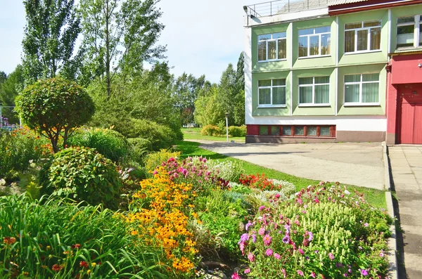 Giardino scolastico fiorito in estate. Irkutsk — Foto Stock