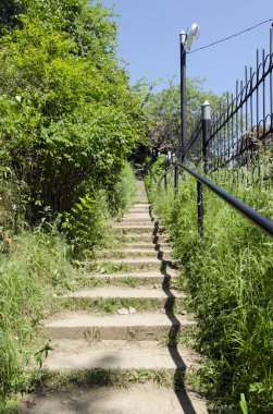 Parkta dar merdivenler