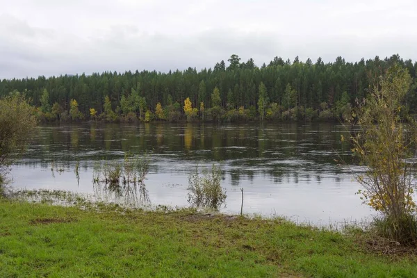 Ηρεμία ροή του ποταμού Barguzin την ημέρα του φθινοπώρου. Ρωσία — Φωτογραφία Αρχείου