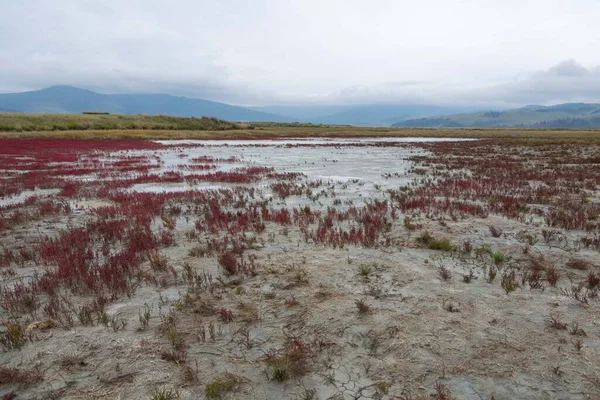 Salt Big Algin Lake, Baruzin Valley, Buryatia — Φωτογραφία Αρχείου