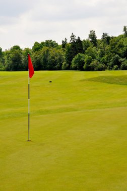 Golf PIN