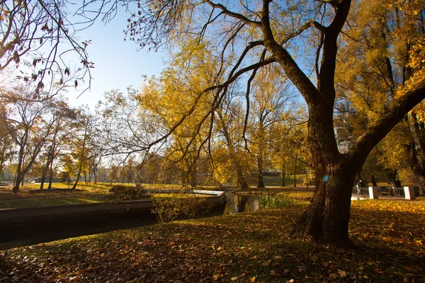 Sonbahar Parkı