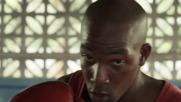年轻的非洲裔美国运动员培训的拳击馆 — 图库视频影像