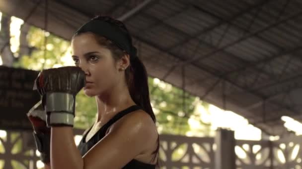 Bela jovem atleta se exercitando para auto-defesa no ginásio de boxe — Vídeo de Stock