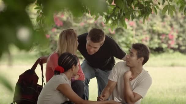 Estudantes universitários reunião e fazer lição de casa juntos — Vídeo de Stock