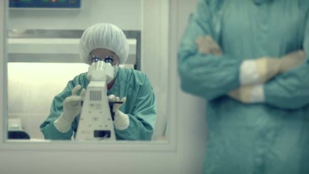 Лаборанты за работой в фармацевтической лаборатории и медицинской промышленности — стоковое видео