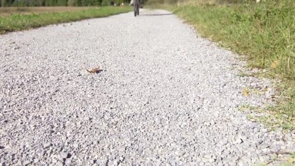 Deporte: ciclista joven adulto montando bicicleta de montaña en el campo — Vídeos de Stock