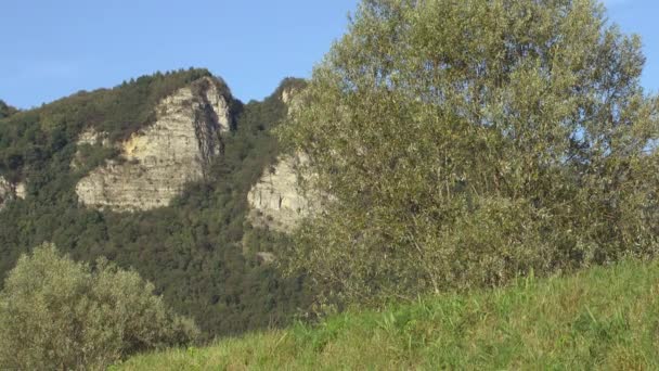 Actividad deportiva: ciclista joven adulto montando bicicleta de montaña en el campo en el camino de tierra . — Vídeo de stock