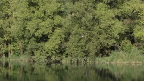 Sonriendo a la cámara y montando bicicleta de montaña en el campo — Vídeos de Stock