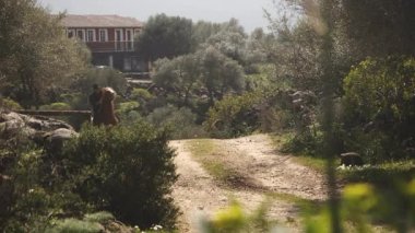 yaşlı beyaz adamın toz yolda tam hızda at binme.