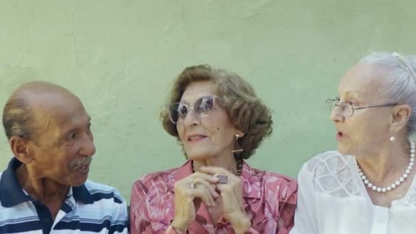 高齢者の男性と女性は話してとベンチに笑みを浮かべての肖像画 — ストック動画