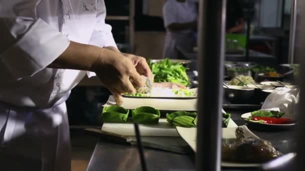 Hombre en el trabajo como chef en la cocina de un restaurante asiático — Vídeo de stock