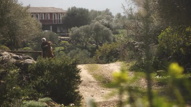 Senior caucasian man riding horse at full speed on dust track. — Stock Video