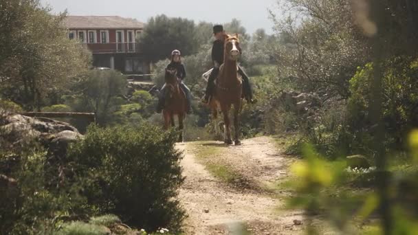 Old man and young woman ride horses in farm. — Stock Video