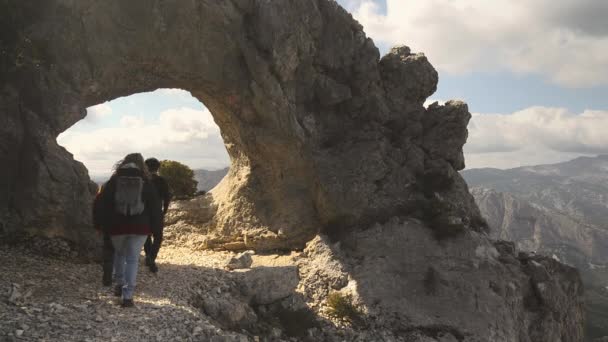 Tre amici che camminano durante il trekking nella natura selvaggia — Video Stock