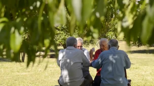 Velhos amigos e lazer, grupo de quatro homens idosos se divertindo e jogando jogo de cartas no parque — Vídeo de Stock