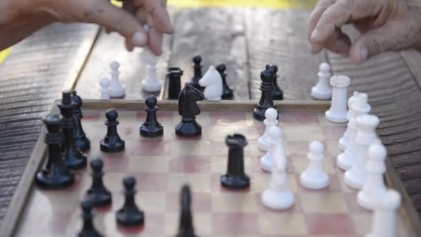 Zwei ältere Männer spielen Schach im Park — Stockvideo