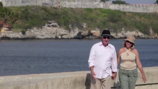 Ancianos hombre y mujer hablando, besándose en el parque de la ciudad — Vídeo de stock