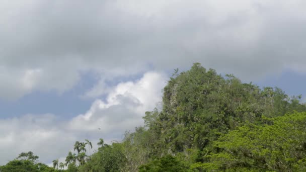 Alam dan lanskap, bukit-bukit dan pegunungan di Vinales, Kuba — Stok Video