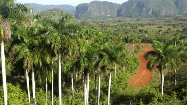 Naturaleza y paisaje, colinas y montañas en Vinales, Cuba — Vídeo de stock