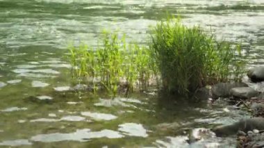 Rod ve reel balıkçılık.