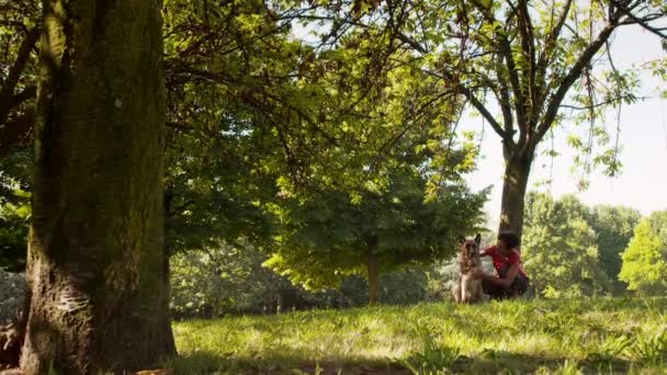 Kvinna som arbetar som hund sitter med tyska herden förföljer i park — Stockvideo