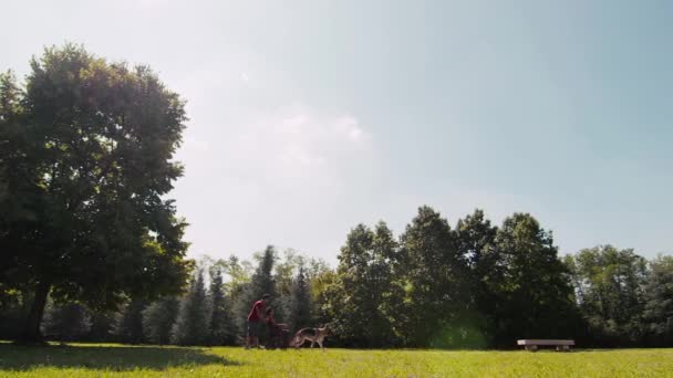 Marido e esposa deficiente em cadeira de rodas com cão pastor alemão relaxante no parque . — Vídeo de Stock