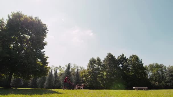 Husband and disabled wife on wheelchair with german shepherd dog relaxing in park. — Stock Video