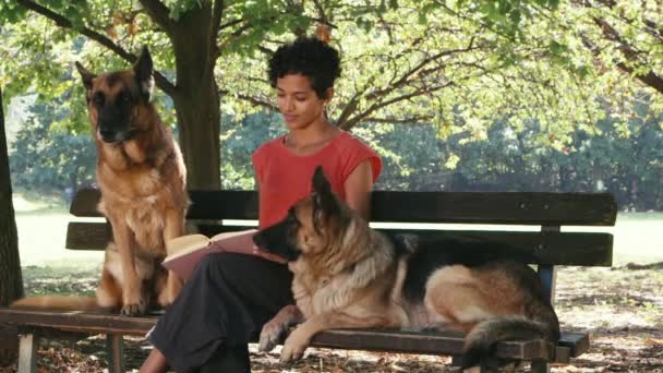 Lány dolgozik, mint kutya sitter elzászi kutyák a parkban, könyvet olvas, és pihentető