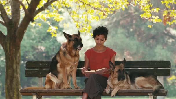 Niña en el trabajo como niñera de perros con perros alsacianos en el parque, libro de lectura y relajarse — Vídeos de Stock