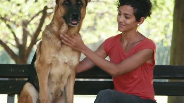 Ragazza al lavoro come dog sitter con cane alsaziano nel parco — Video Stock