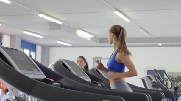 2of27 människor i fitness club, gym och sport aktivitet — Stockvideo