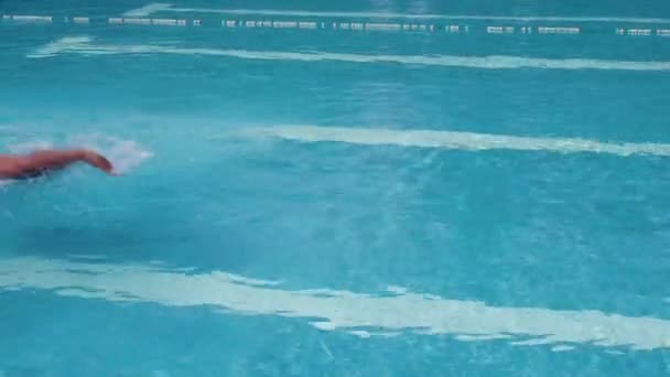 Man in het zwembad — Stockvideo