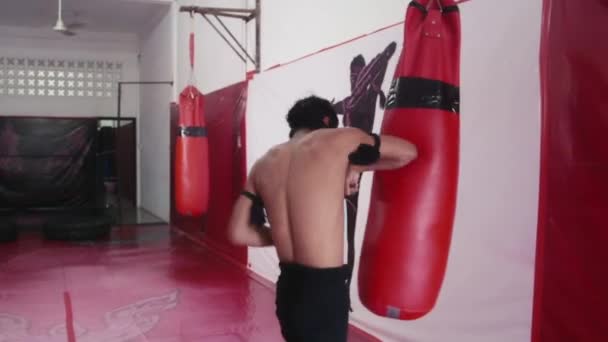 Asiático hombre entrenamiento kickboxing — Vídeos de Stock