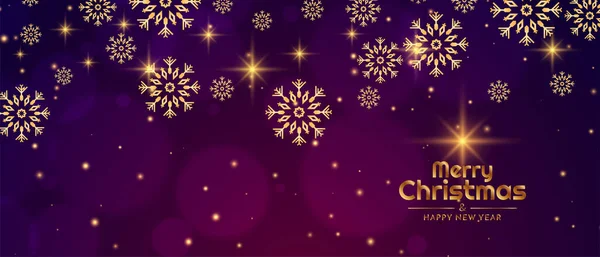 Merry Christmas Celebration Festival Greeting Banner Design Vector — Stock Vector