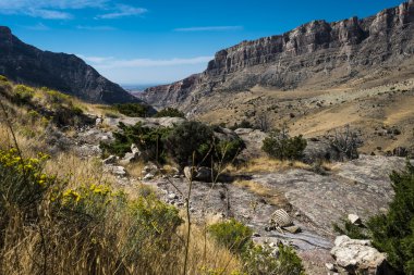 dağ hayvan kemikleri